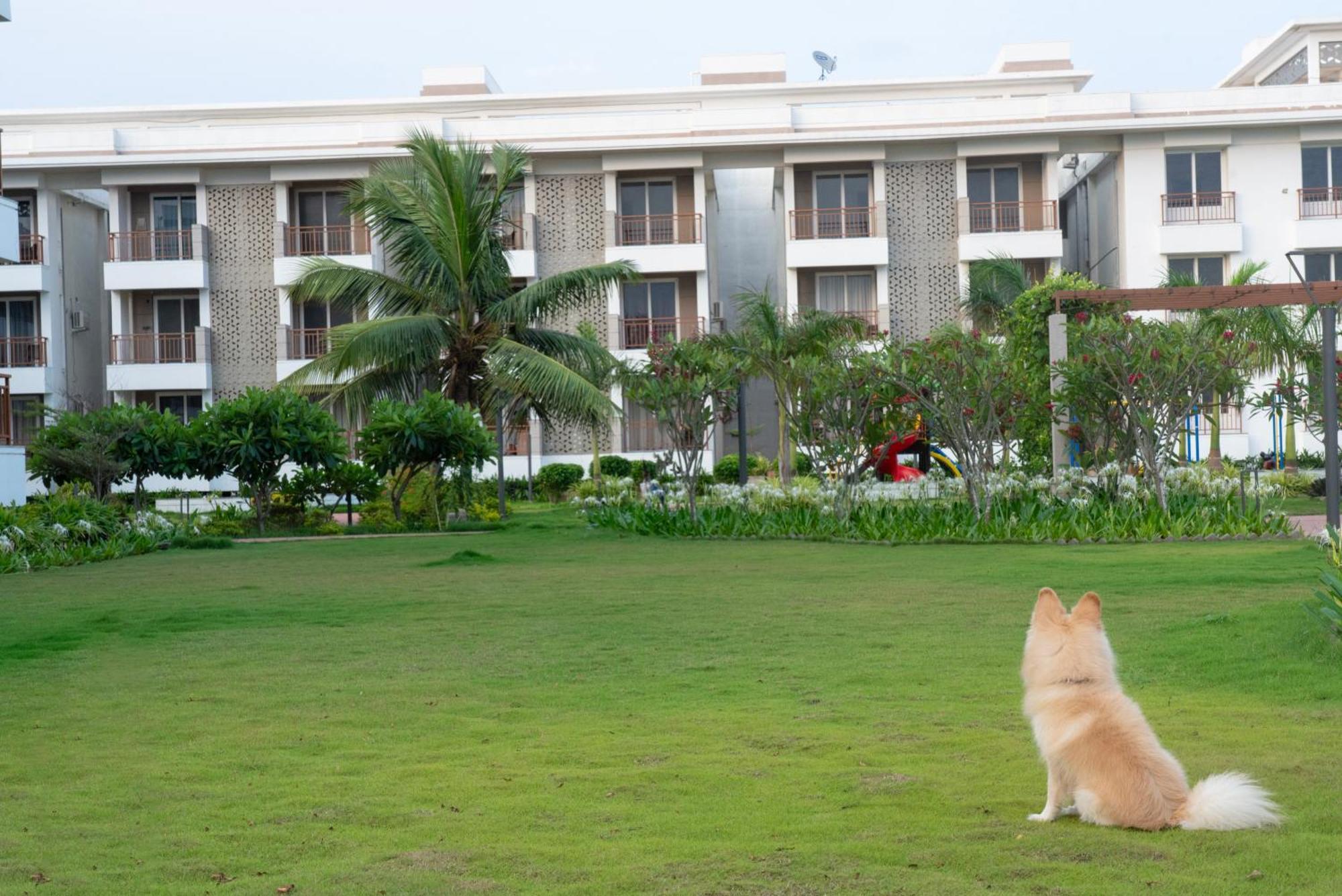 Palm Regal Resort Gopālpur Dış mekan fotoğraf