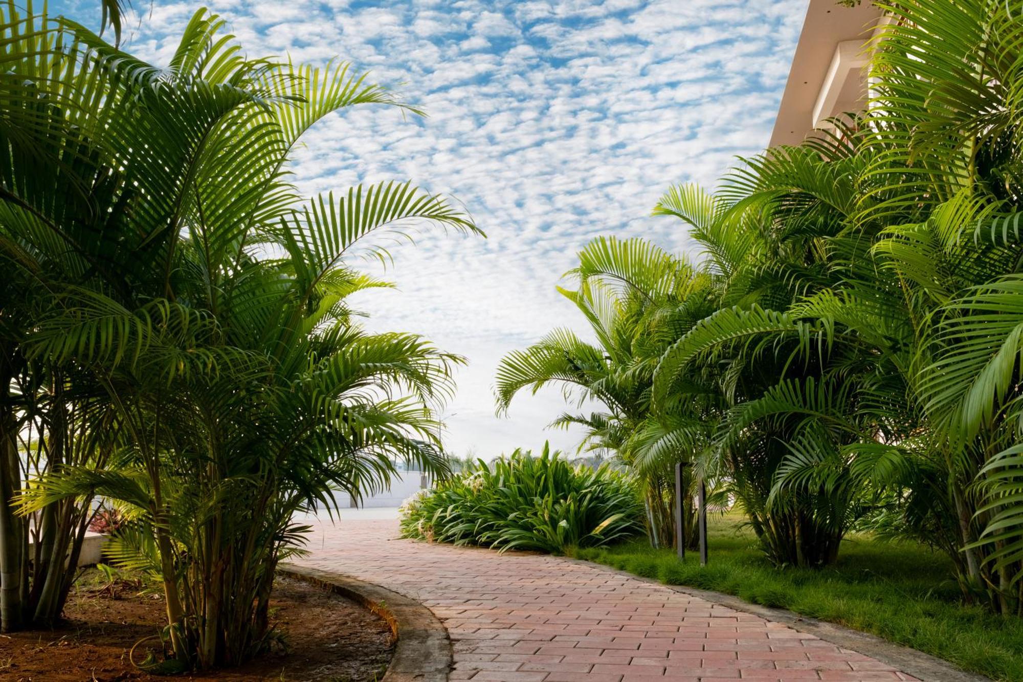 Palm Regal Resort Gopālpur Dış mekan fotoğraf